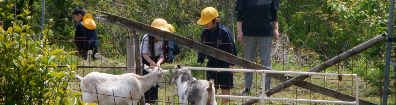 氷見市立西の杜学園