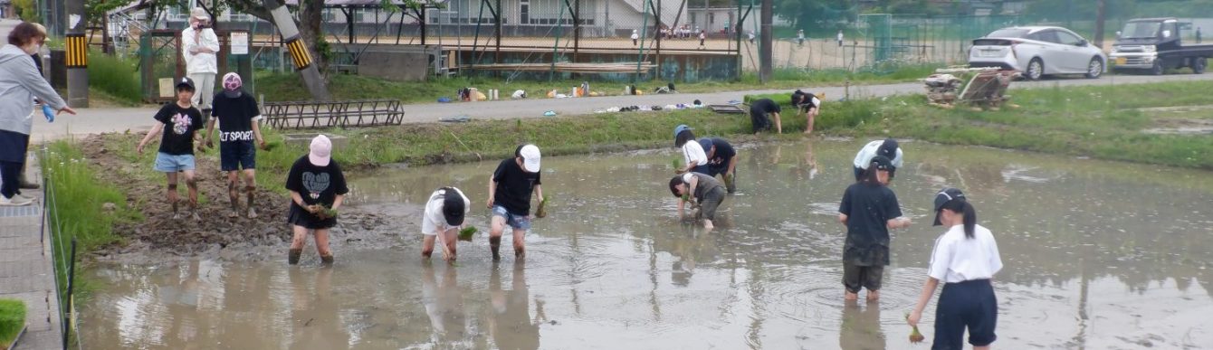 氷見市立西の杜学園