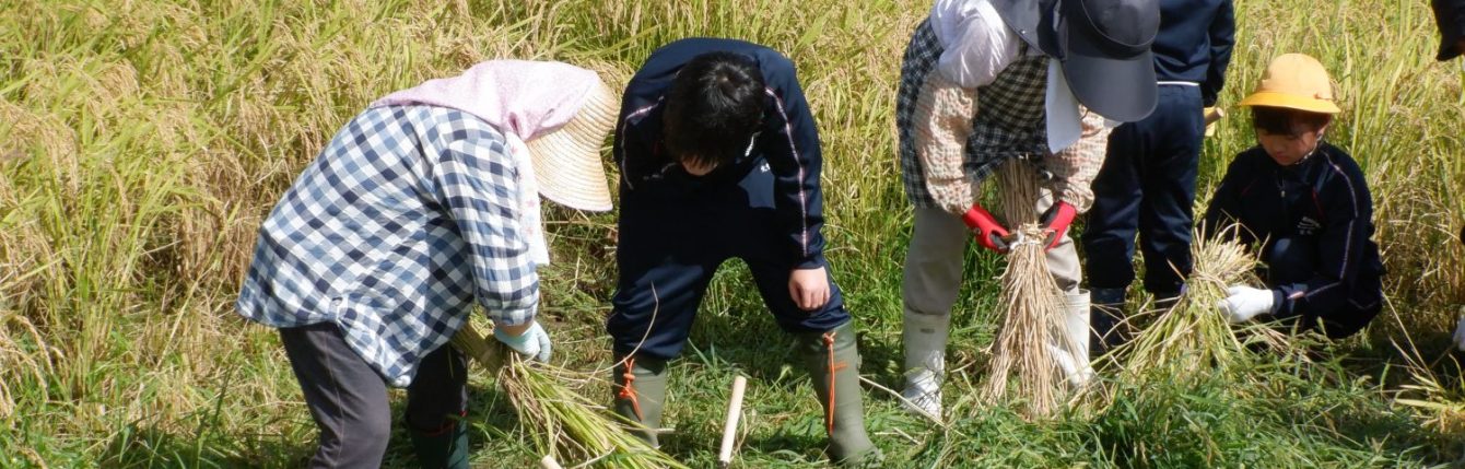 氷見市立西の杜学園