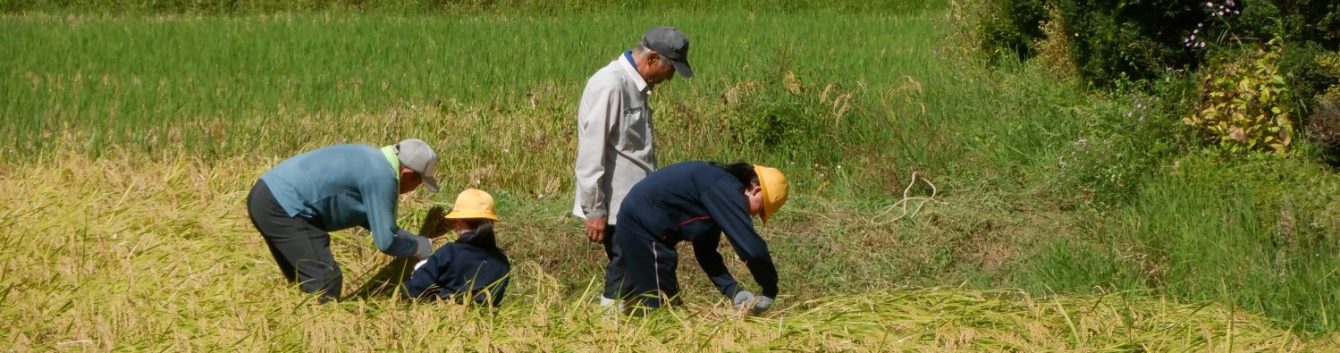 氷見市立西の杜学園