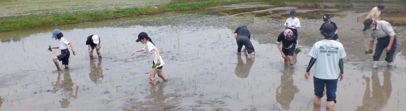 氷見市立西の杜学園