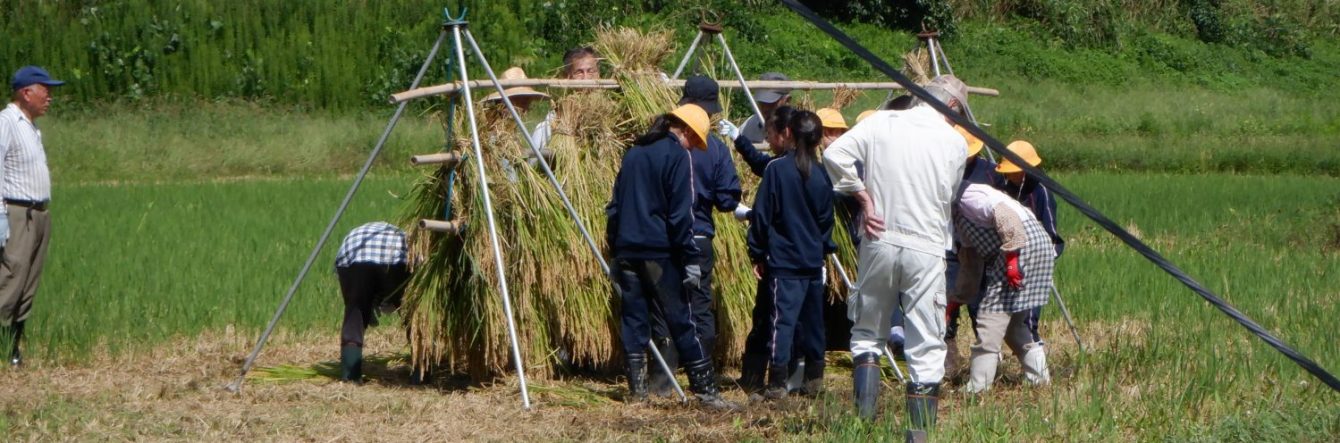 氷見市立西の杜学園