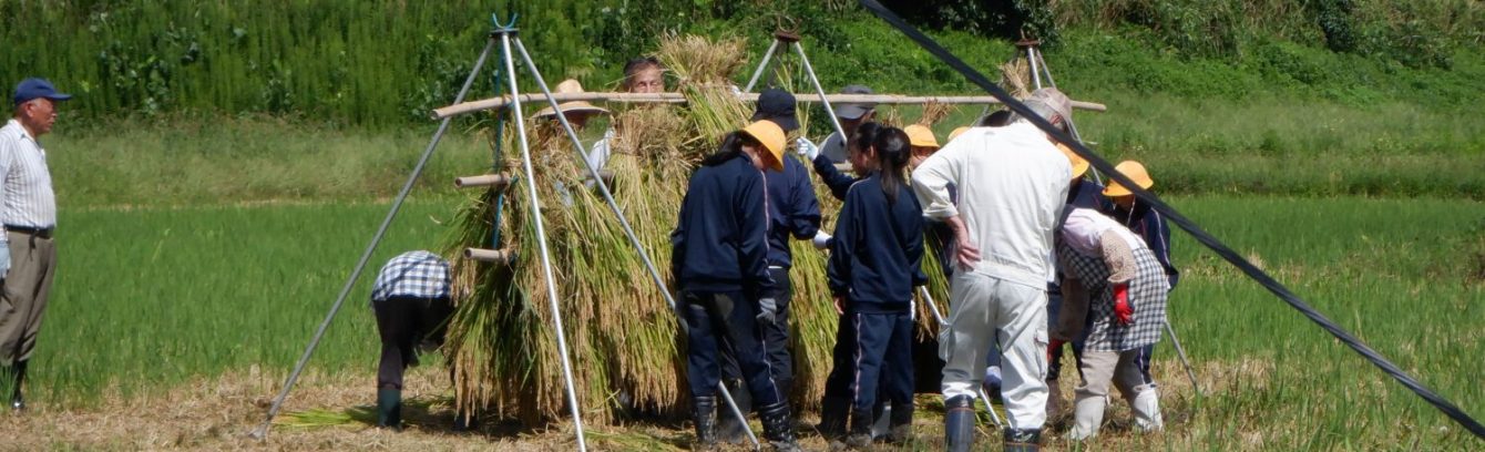 氷見市立西の杜学園