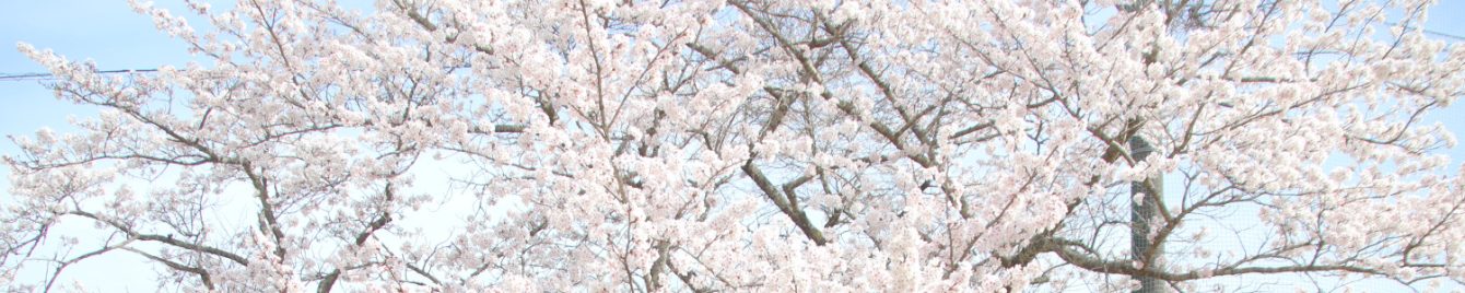 氷見市立西の杜学園