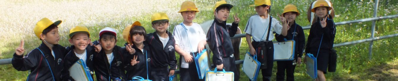 氷見市立西の杜学園